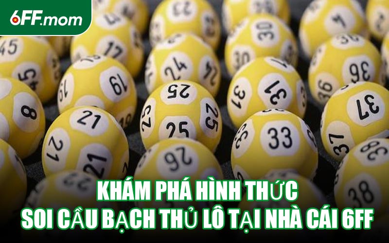 Khám Phá Hình Thức Soi Cầu Bạch Thủ Lô Tại Nhà Cái 6FF